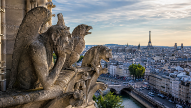 notre dame gargoyles paris