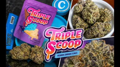 triple scoop strain